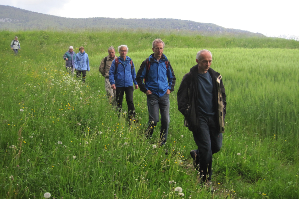 Fruehling12_A