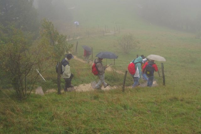 Herbst10_A